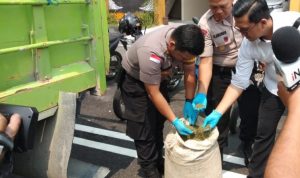 IMG-20191014-WA0036_1