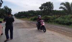 IMG-20191023-WA0000_1_1