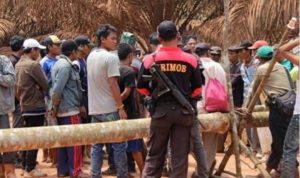 Screenshot_20191031-184921_1