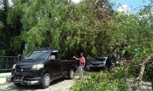 IMG-20191127-WA0090_1