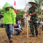 WhatsApp Image 2022-10-26 at 10.02.49