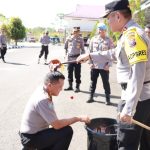 WhatsApp Image 2023-01-02 at 18.34.48