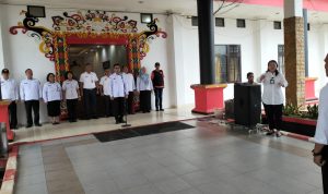 WhatsApp Image 2024-06-20 at 07.35.47