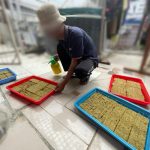 PENYEMAIAN : WBP Lapas Sampit saat melakukan penyemaian tanaman, Selasa (22/10/2024). (foto:meldy)