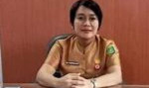 KADIS PUPR BARSEL, Ita Minarni