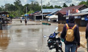 BANJIR : Kondisi Banjir di Ruas Jalan Trans Kalimantan Palangka Raya-Buntok, Sabtu (8/3/2025). (foto:ist)