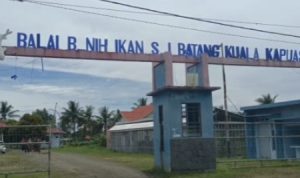 Balai Benih Ikan (BBI) Sei Batang