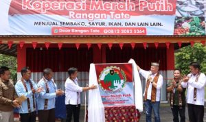 WhatsApp Image 2025-08-14 at 12.48.29