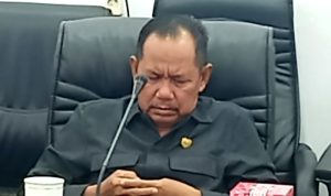 Anggota DPRD Kabupaten Barito Utara dari Fraksi PKB, Al Hadi (Foto : Ist)