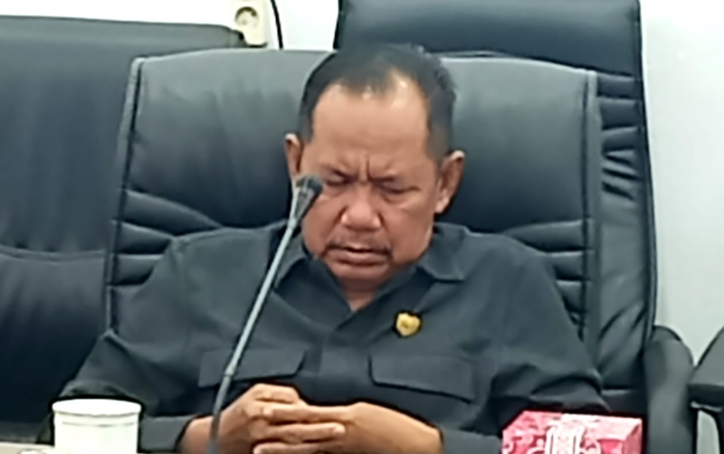 Anggota DPRD Kabupaten Barito Utara dari Fraksi PKB, Al Hadi (Foto : Ist)