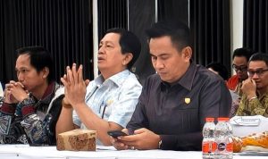 Konsultasi Publik Rancangan Awal RPJMD Kabupaten Barito Utara Tahun 2025-2029 (Foto : Ist)
