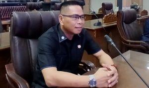 Anggota Komisi II DPRD Barito Utara, Bina Husada (Foto : Ist)