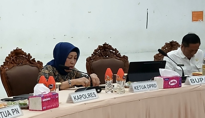 Ketua DPRD Barito Utara, Mery Rukaini menghadiri kegiatan Rakor dan Sinkronisasi TJSLP serta Optimalisasi PAD (Foto : Ist)