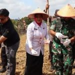 Kegiatan tanam jagung serentak kuartal IV tahun 2025 di lahan kelompok tani Jalan Pendreh, Kelurahan Lanjas, Kecamatan Teweh Tengah, Kabupaten Barito Utara (Foto : Ist)