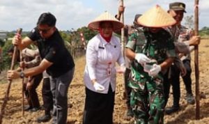 Kegiatan tanam jagung serentak kuartal IV tahun 2025 di lahan kelompok tani Jalan Pendreh, Kelurahan Lanjas, Kecamatan Teweh Tengah, Kabupaten Barito Utara (Foto : Ist)