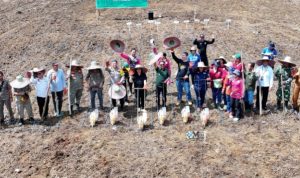 WhatsApp-Image-2025-10-17-at-13.42.38