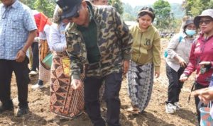 WhatsApp-Image-2025-10-17-at-17.48.33