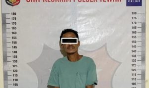 WhatsApp Image 2025-11-26 at 20.58.15