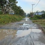 bd1e3baf-c85c-4761-920e-9a56f5af4b9e